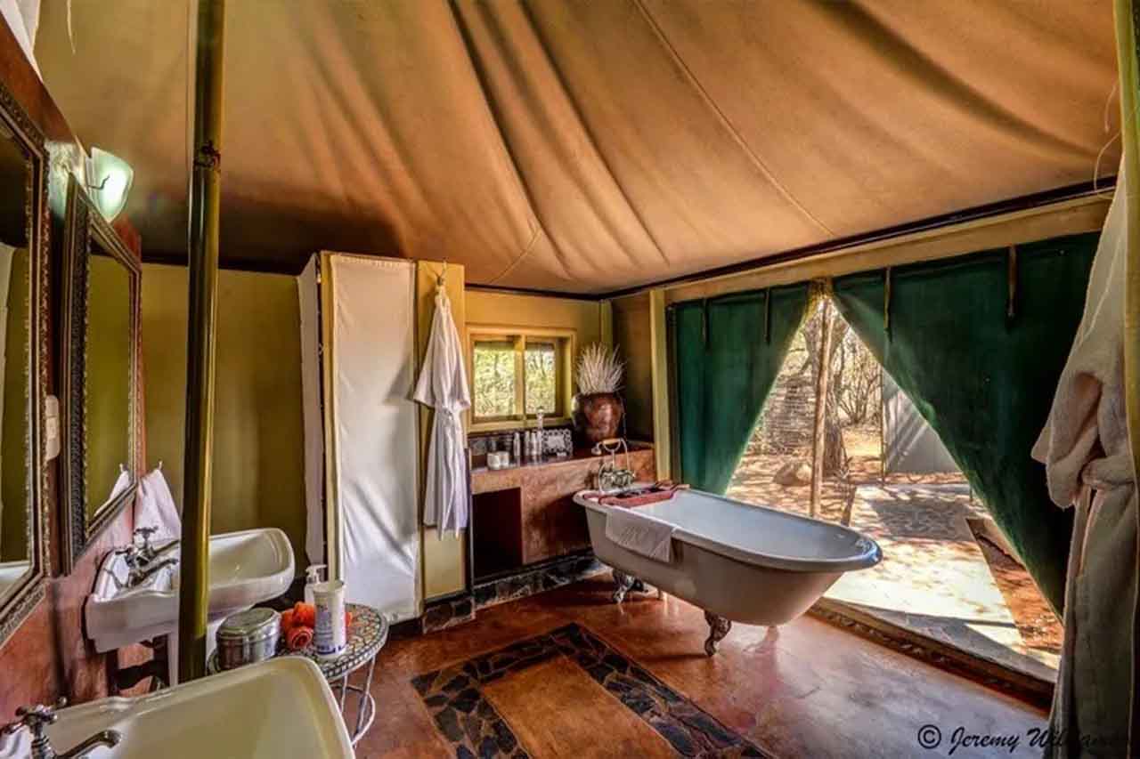 wildaxis | book safari